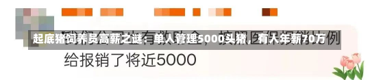 起底猪饲养员高薪之谜：单人管理5000头猪，有人年薪70万