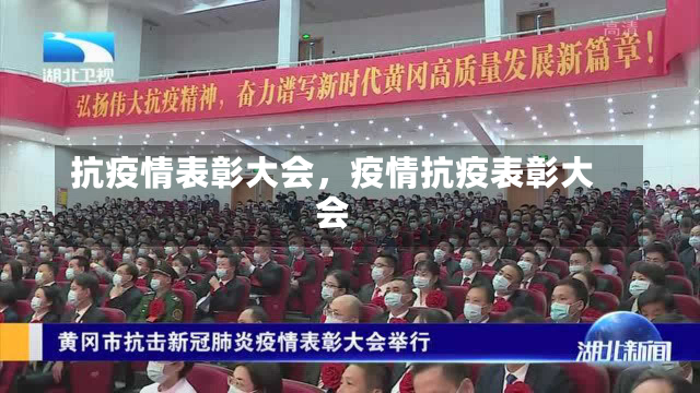 抗疫情表彰大会，疫情抗疫表彰大会