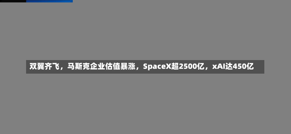 双翼齐飞，马斯克企业估值暴涨，SpaceX超2500亿，xAI达450亿-第3张图片