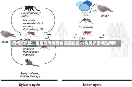 疫情高风险，疫情高风险警告 美国出现21例奥罗普切热病例
