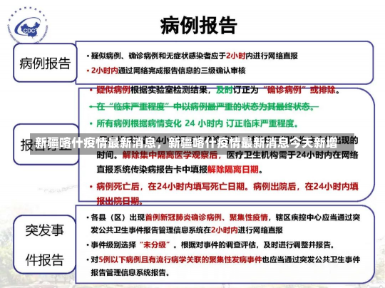 新疆喀什疫情最新消息，新疆喀什疫情最新消息今天新增-第2张图片