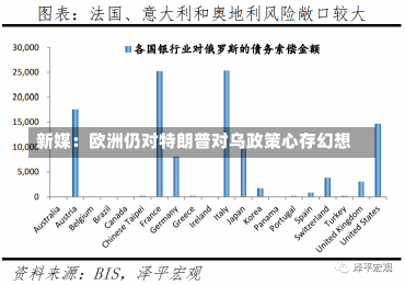 新媒：欧洲仍对特朗普对乌政策心存幻想-第2张图片