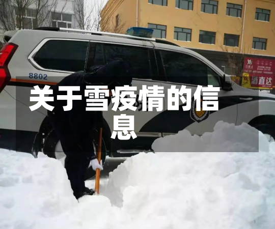 关于雪疫情的信息-第2张图片