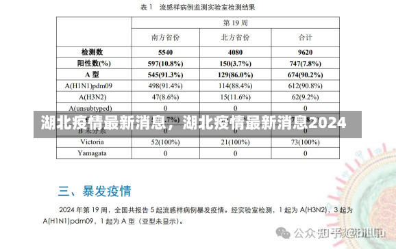 湖北疫情最新消息，湖北疫情最新消息2024-第3张图片