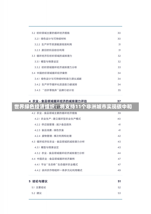 世界绿色经济组织：将支持11个非洲城市实现碳中和-第1张图片