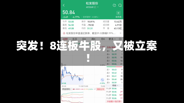 突发！8连板牛股，又被立案！-第3张图片