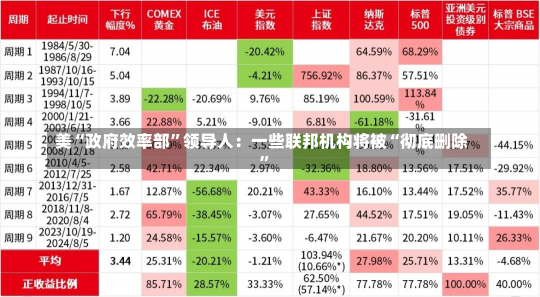 美“政府效率部”领导人：一些联邦机构将被“彻底删除”