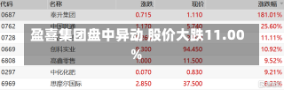 盈喜集团盘中异动 股价大跌11.00%-第3张图片