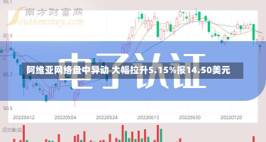 阿维亚网络盘中异动 大幅拉升5.15%报14.50美元-第2张图片