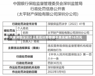 大家财险深圳分公司因财务数据不真实被罚10万元-第2张图片