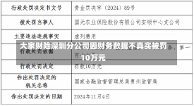 大家财险深圳分公司因财务数据不真实被罚10万元-第3张图片