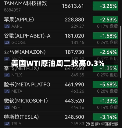 美国WTI原油周二收高0.3%-第2张图片