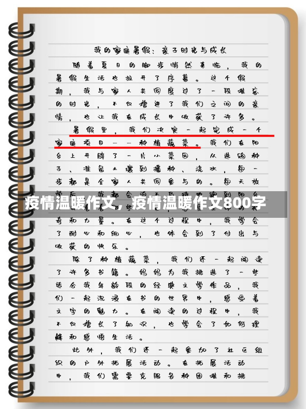 疫情温暖作文，疫情温暖作文800字