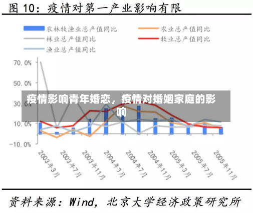 疫情影响青年婚恋，疫情对婚姻家庭的影响