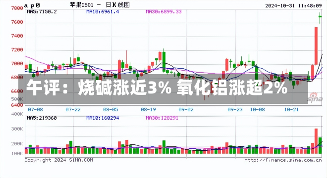 午评：烧碱涨近3% 氧化铝涨超2%-第1张图片