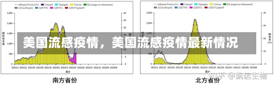 美国流感疫情，美国流感疫情最新情况-第2张图片