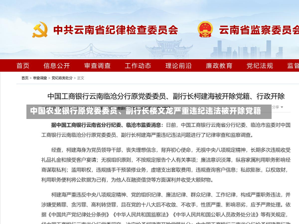 中国农业银行原党委委员、副行长楼文龙严重违纪违法被开除党籍-第2张图片