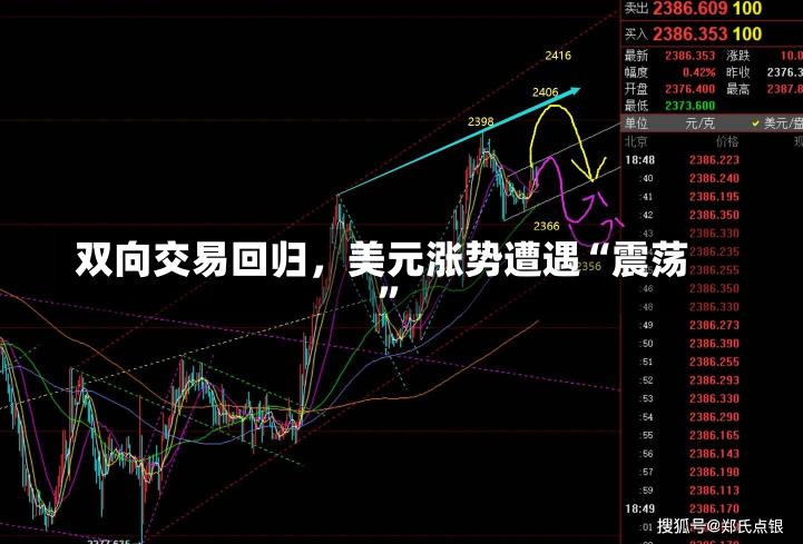 双向交易回归，美元涨势遭遇“震荡”-第3张图片