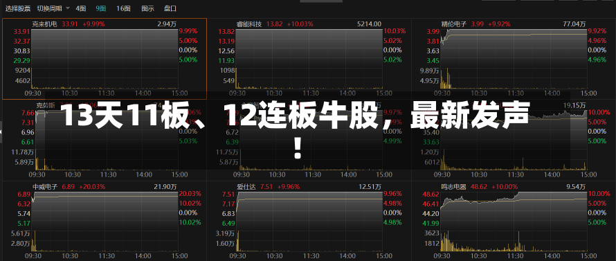 13天11板、12连板牛股，最新发声！-第1张图片