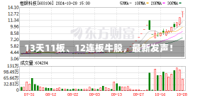 13天11板、12连板牛股，最新发声！-第3张图片