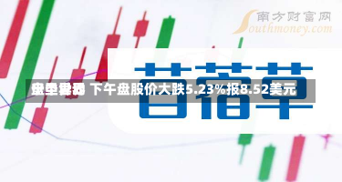 宁圣世界
盘中异动 下午盘股价大跌5.23%报8.52美元-第2张图片