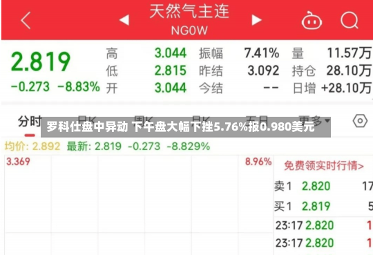 罗科仕盘中异动 下午盘大幅下挫5.76%报0.980美元-第1张图片