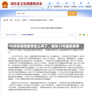 10月份瑞丽疫情怎么样了，瑞丽11月最新疫情-第2张图片