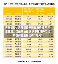 青岛银行、贵阳银行等获密集调研 明年息差压力仍是关注重点 多家银行开门红项目储备量和结构“曝光”