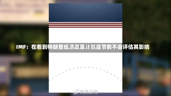 IMF：在看到特朗普经济政策计划细节前不会评估其影响-第2张图片