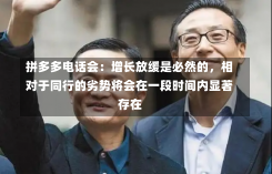 拼多多电话会：增长放缓是必然的，相对于同行的劣势将会在一段时间内显著存在-第3张图片