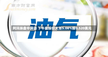 阿玛琳盘中异动 下午盘股价大涨5.08%报0.520美元