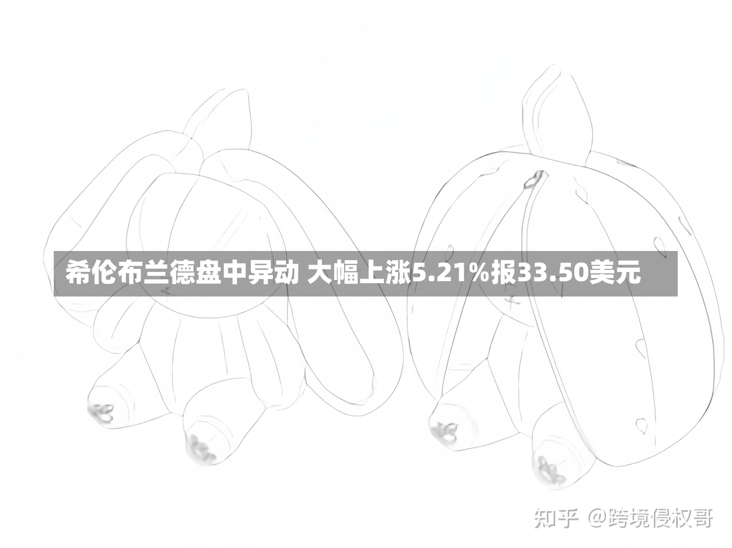 希伦布兰德盘中异动 大幅上涨5.21%报33.50美元-第3张图片