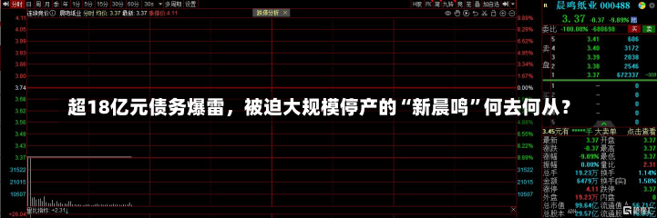 超18亿元债务爆雷，被迫大规模停产的“新晨鸣”何去何从？-第2张图片