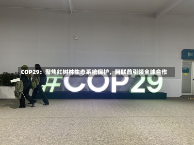 COP29：聚焦红树林生态系统保护，阿联酋引领全球合作-第3张图片