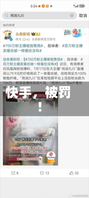 快手，被罚！-第3张图片