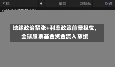 地缘政治紧张+利率政策前景担忧，全球股票基金资金流入放缓-第2张图片