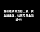 金价连续第五日上涨，黄金股走强，哈莫尼黄金涨逾4%