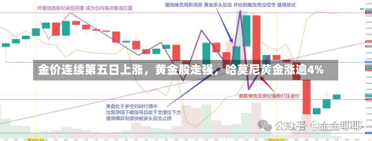 金价连续第五日上涨，黄金股走强，哈莫尼黄金涨逾4%-第2张图片