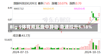 Big 5体育用品盘中异动 急速拉升5.18%