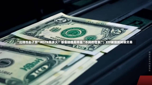 “比特币影子股”MSTR有多火？基金经理高呼是“不同的怪兽”，ETF被限制掉期交易