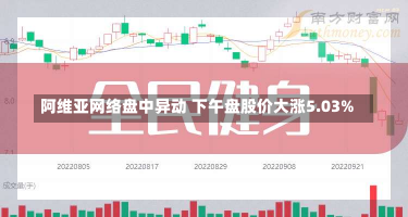 阿维亚网络盘中异动 下午盘股价大涨5.03%