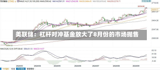 美联储：杠杆对冲基金放大了8月份的市场抛售