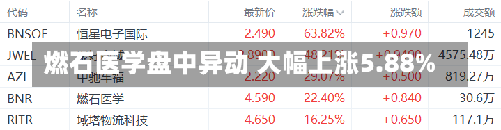 燃石医学盘中异动 大幅上涨5.88%-第3张图片