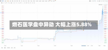 燃石医学盘中异动 大幅上涨5.88%-第2张图片