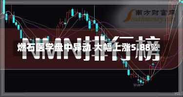 燃石医学盘中异动 大幅上涨5.88%