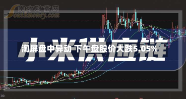 淘屏盘中异动 下午盘股价大跌5.05%