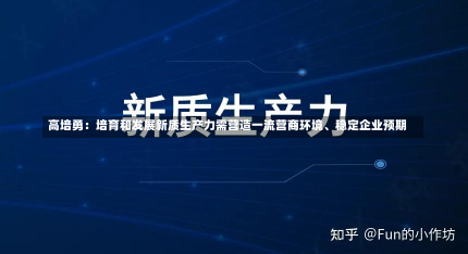 高培勇：培育和发展新质生产力需营造一流营商环境、稳定企业预期