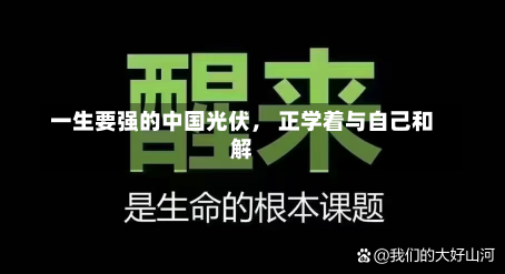 一生要强的中国光伏， 正学着与自己和解-第3张图片