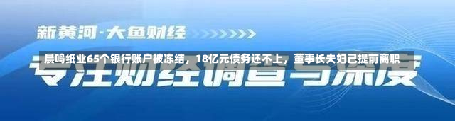 晨鸣纸业65个银行账户被冻结，18亿元债务还不上，董事长夫妇已提前离职-第1张图片