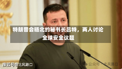 特朗普会晤北约秘书长吕特，两人讨论全球安全议题